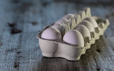 Le uova biologiche del consumatore: tutela e giusto prezzo