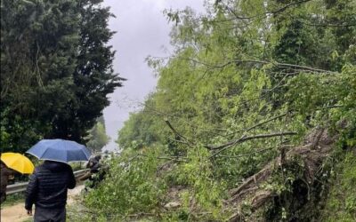 Emergenza alluvione in Emilia Romagna: Udicon richiama all’aiuto immediato per la popolazione colpita